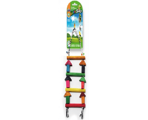 Brinquedo Papagaio Escada Colorida