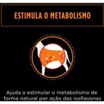 Racao-Seca-Nestle-Purina-Pro-Plan-Veterinary-Diets-Om-Caes-Obesos