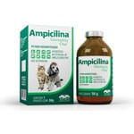 Antibiótico Vetnil Ampicilina Veterinária Oral