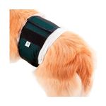 Roupa-Protetora-Pet-Med-Para-Fraldas-De-Caes-Machos-Verde