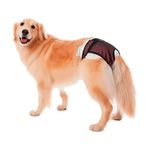 Roupa-Protetora-Petmed-Higienica-Para-Fraldas-E-Cio-Rosa