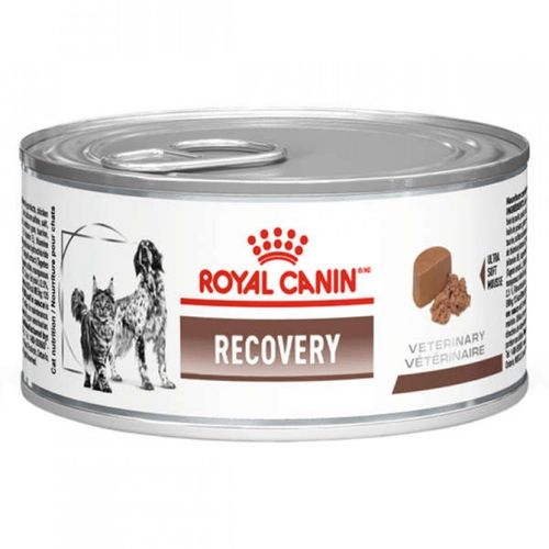 Ração Royal Canin Lata Canine e Feline Veterinary Diet Recovery Wet