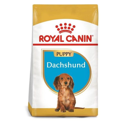 Royal Canin Ração Para Cães Filhotes Dachshund Puppy