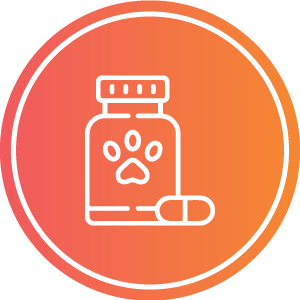 ícone de farmácia para cão